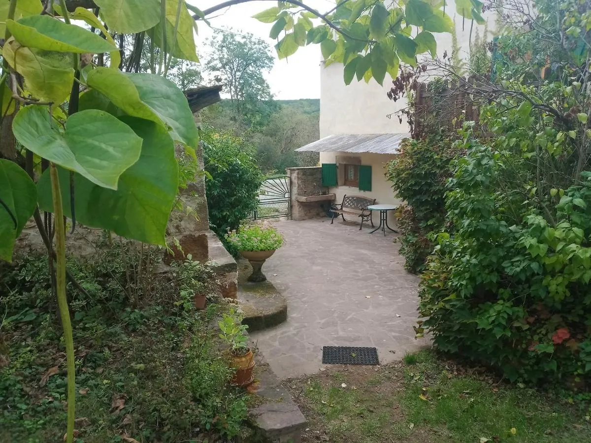 Maison Avec Jardin Entre Cordes/Ciel Et Monesties Salles  Holiday home Salles (Tarn)